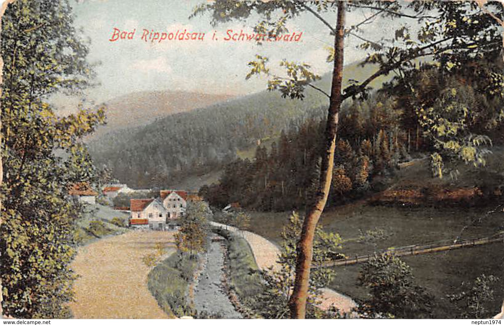 Bad Rippoldsau I. Schwarzwald - Bad Rippoldsau - Schapbach