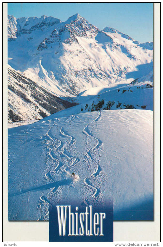 Ski Trails, Whistler, British Columbia, Canada Postcard Posted 1999 Stamp - Other & Unclassified