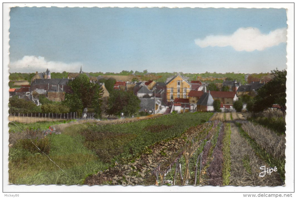 BOULOIRE--1963--Vue Partielle Et L'Hospice Cpsm 14 X 9 N°1 éd Georget-Dolbeau - Bouloire