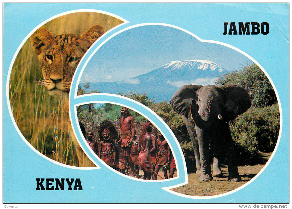 Elephant, Kenya Postcard Posted 1989 Stamp - Kenya