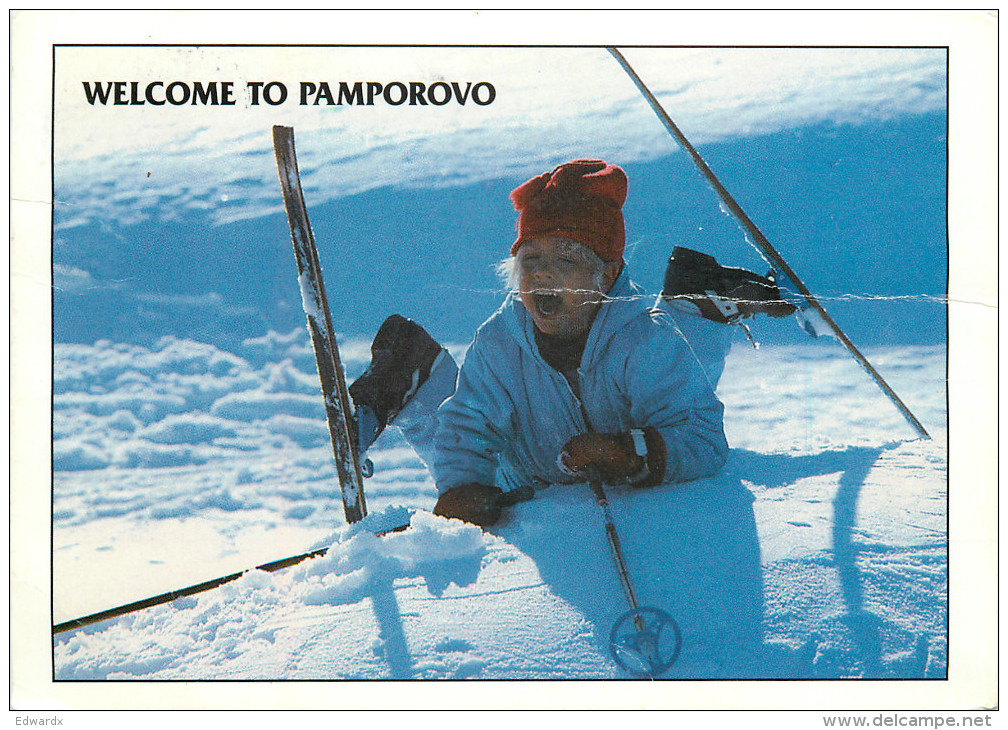 Skiing Boy,  Pamporovo , Bulgaria Postcard Posted 1998 Stamp - Bulgaria