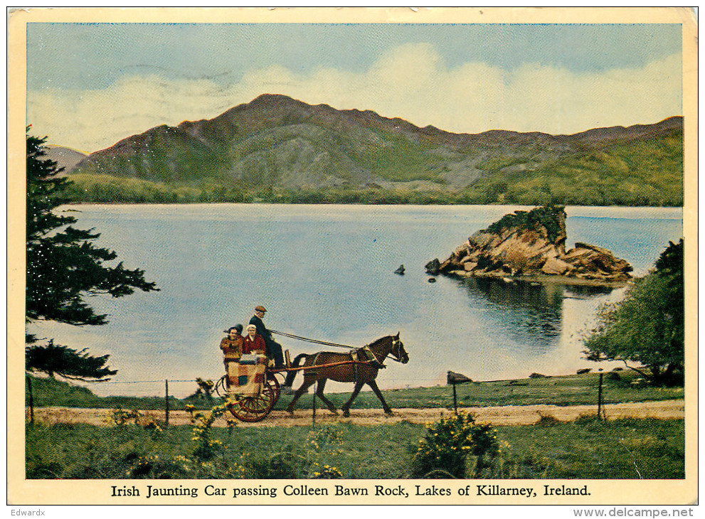 Jaunting Car,  Killarney,  Co Kerry, Ireland Postcard Posted 1965 Stamp - Kerry