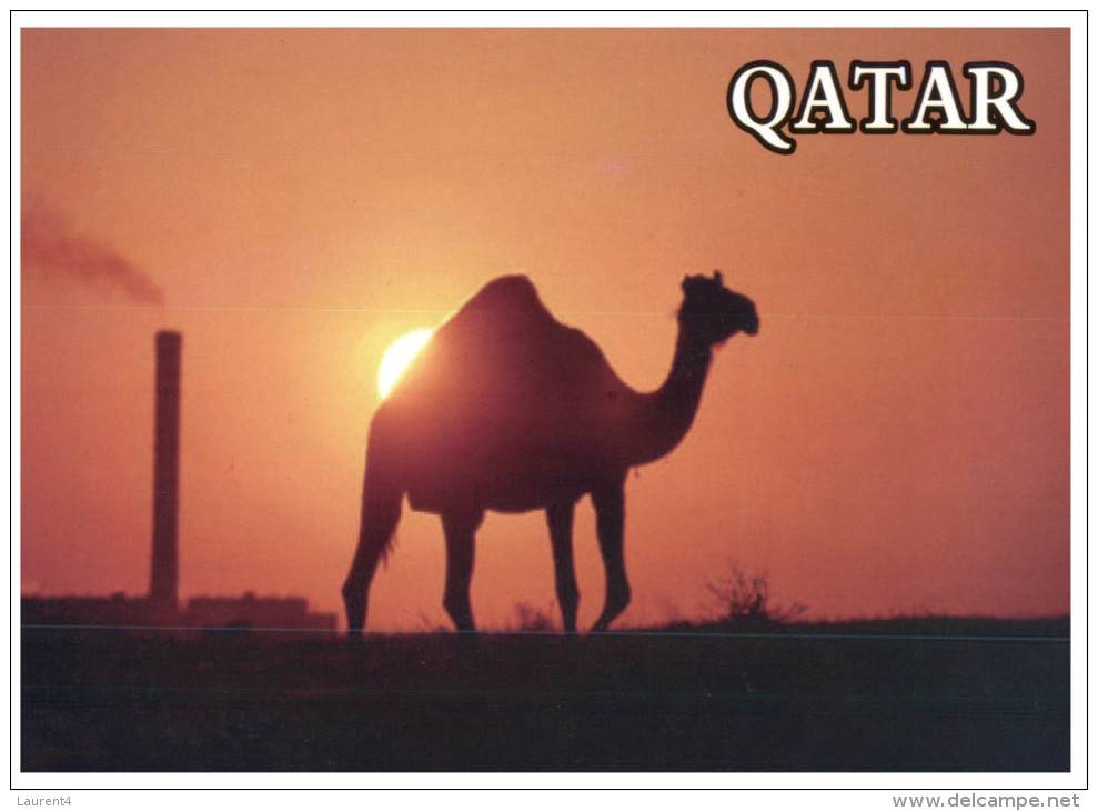 (219) Qatar - Camel & Petrol - Qatar