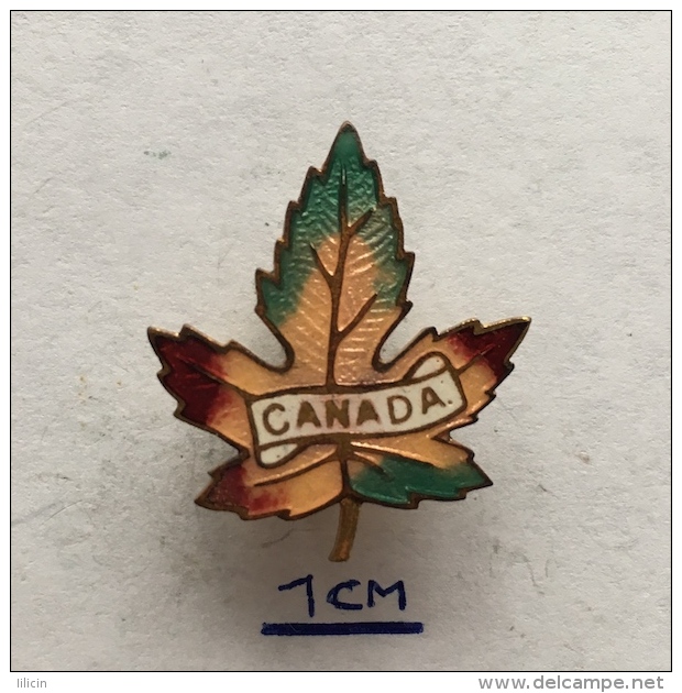 Badge (Pin) ZN003836 - Canada (Kanada) - Altri & Non Classificati