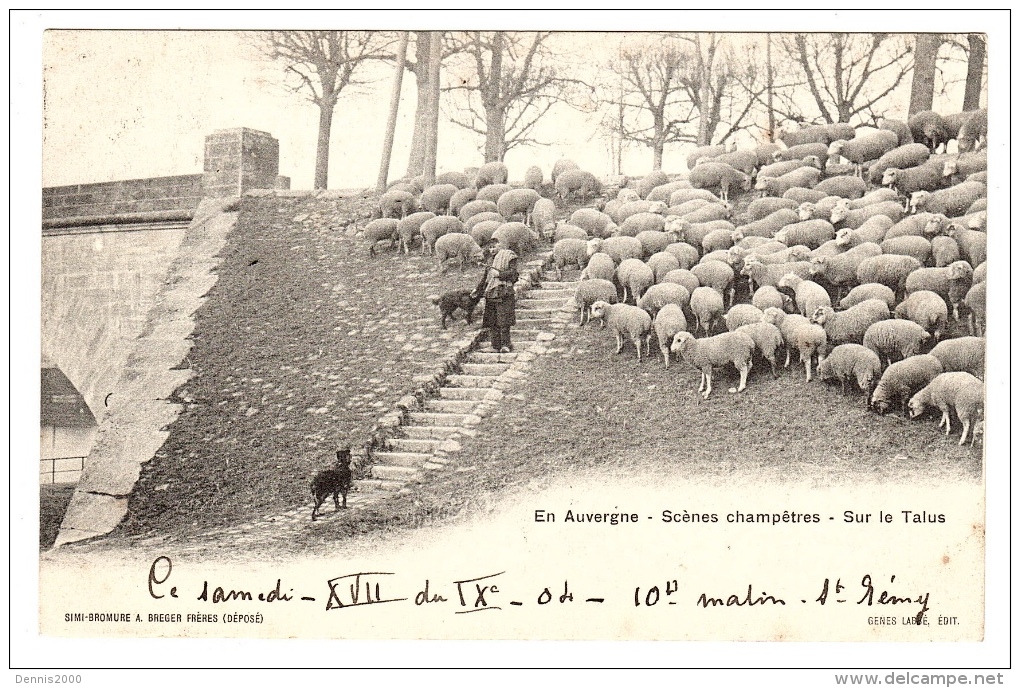 AGRICULTURE - En Auvergne (63) - Scènes Champêtres - Sur Le Talus - ELEVAGE De MOUTONS - Ed. A. Breger Frères - Elevage