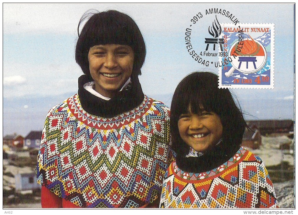 Greenland 1993 International Year Of The Native, MI 230 On Maxiumcard - Gebruikt