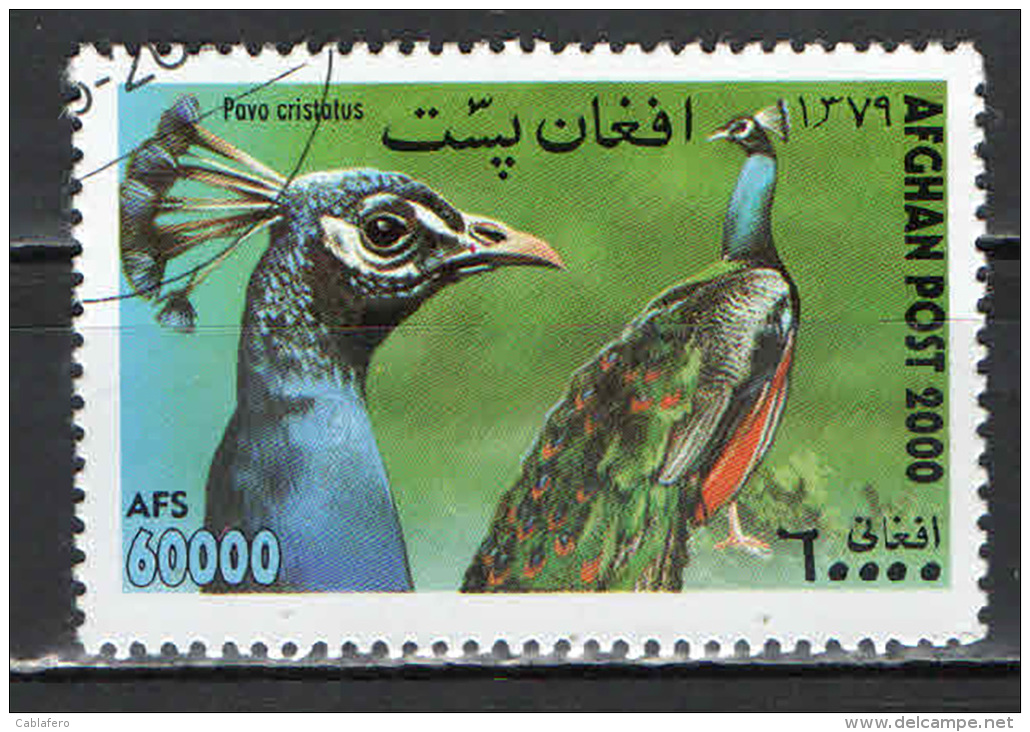 AFGHANISTAN - 2000 - PAVO CRISTATUS - USATO - Afghanistan