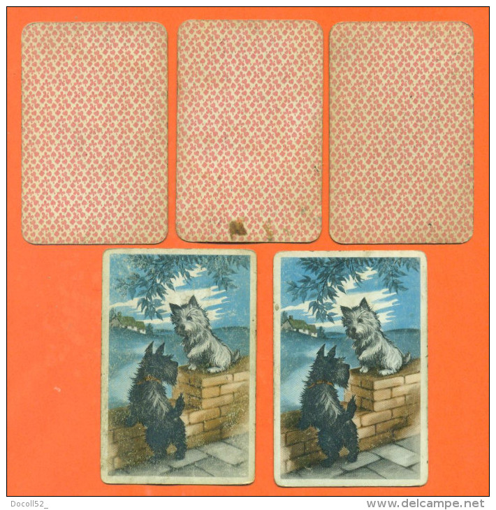 Lot De 5 Cartes à Jouer Dont 2 Avec Chiens Scottish Terrier - 2 Scans - Carte Da Gioco