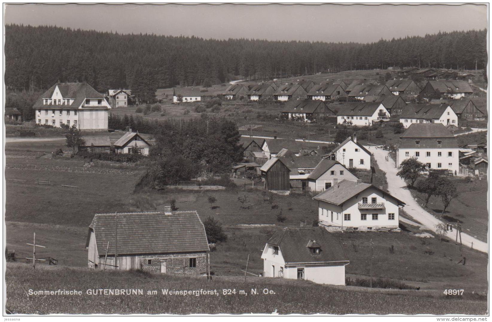 AK - NÖ -Gutenbrunn Am Weinspergforst - 1962 - Zwettl