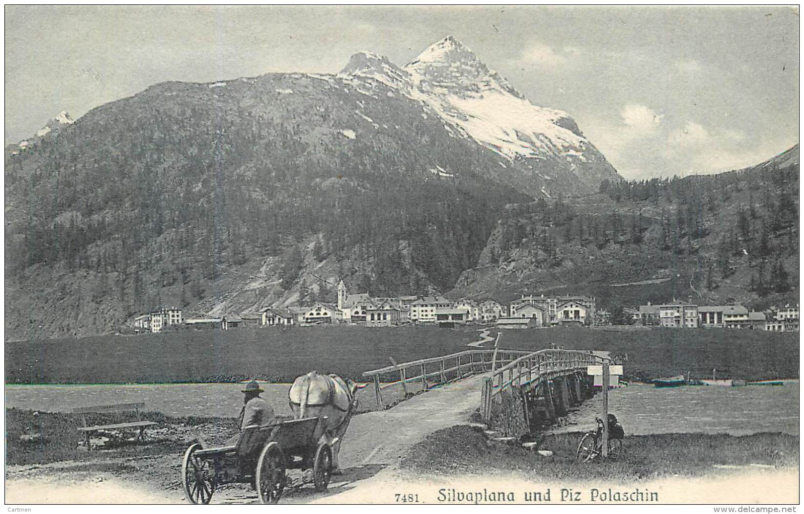 SUISSE SWISS  SILVAPLANA UND PIZ POLASCHIN  ATTELAGE - Silvaplana