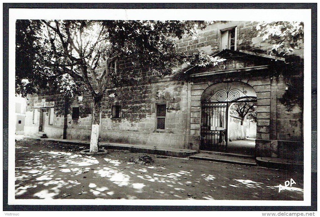 LE CAILAR - Place Ledru-Rolain, Entrée De La Mairie, Maison Du Peuple - Circulé - Circulated - Gelaufen - 1952. - Autres & Non Classés