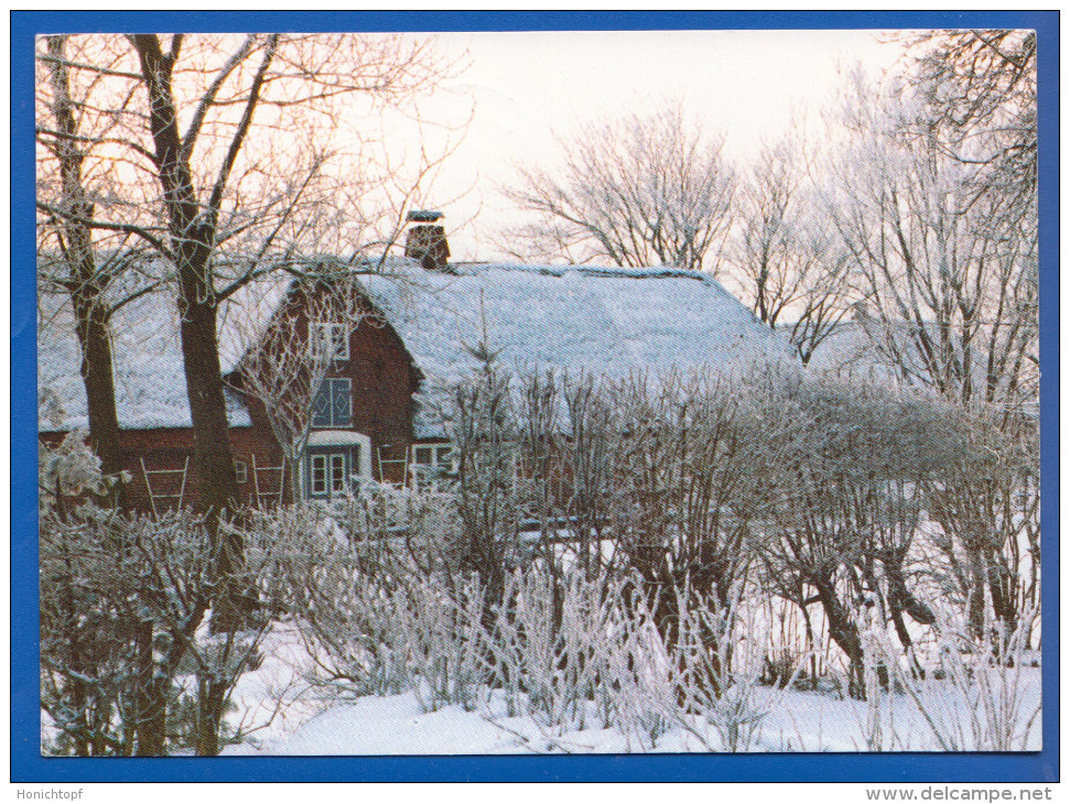 Deutschland; Föhr; Friesenhaus Im Schnee - Föhr