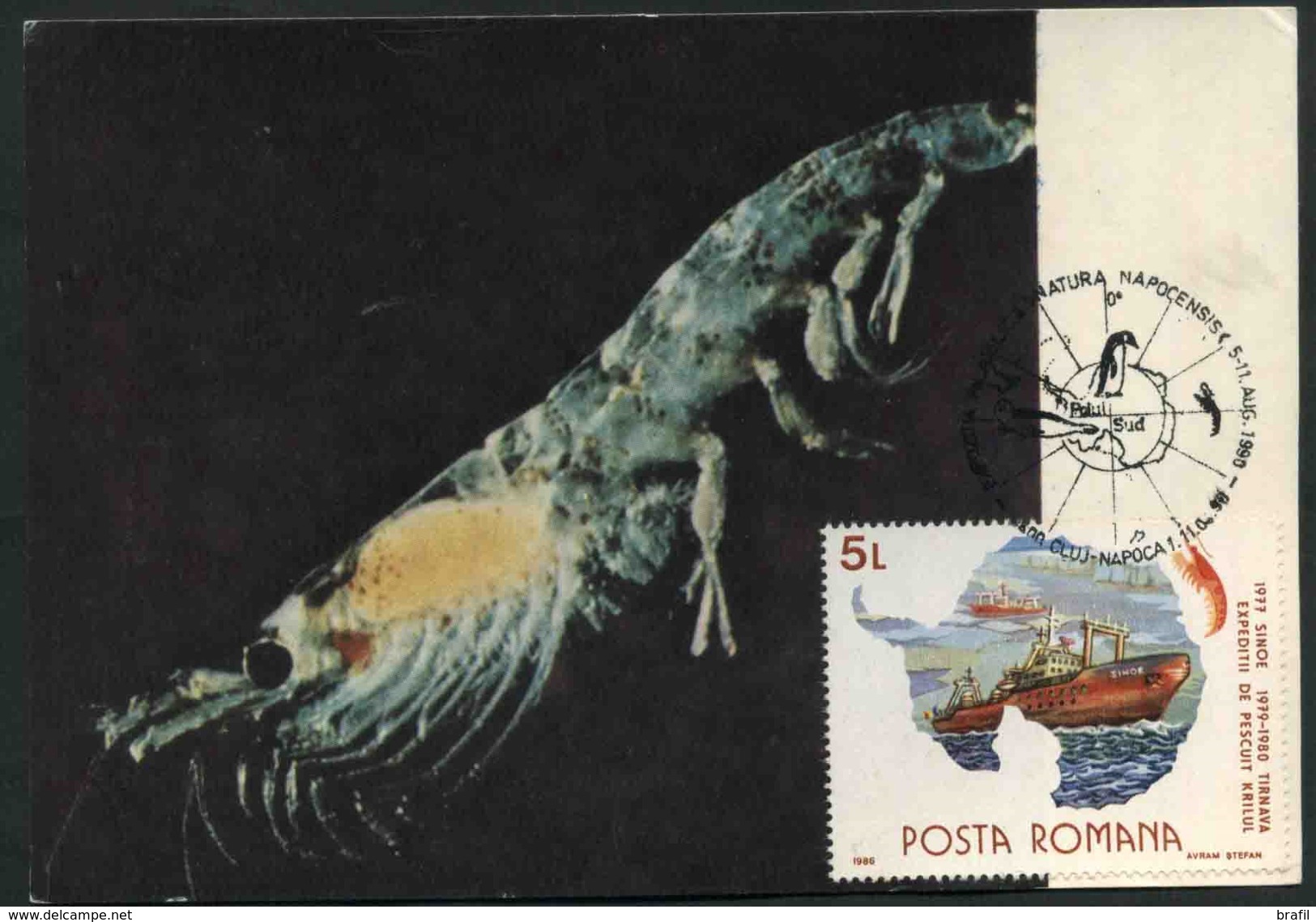 1990 Romania, Cartolina Maximum Gamberi - Crostacei