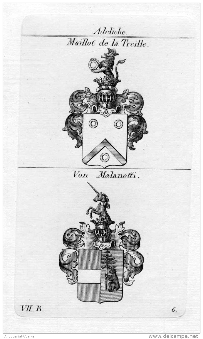 Maillot De La Treille Malanotti Wappen Coat Of Arms Heraldik Heraldry Kupferstich - Prints & Engravings