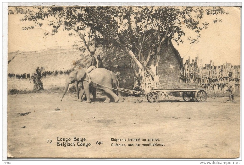 CONGO BELGA ENTERO POSTAL 1916 ELEFANTE ELEPHANT FAUNA MAMIFERO - Elefantes