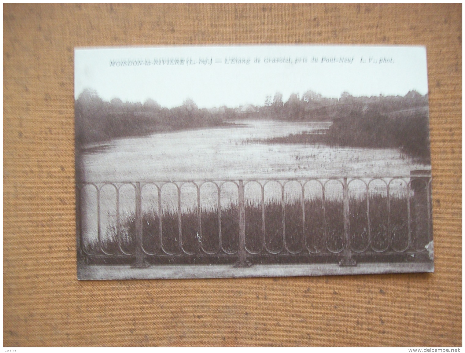 Carte Postale Ancienne De Moisdon-la-Rivière : L'Etang De Gravotel, Pris Du Pont-Neuf - Moisdon La Riviere