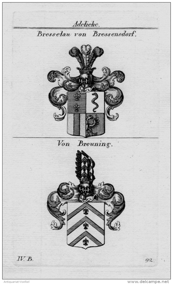 Bresselau Breuning Wappen Adel Coat Of Arms Heraldry Heraldik Kupferstich - Stiche & Gravuren