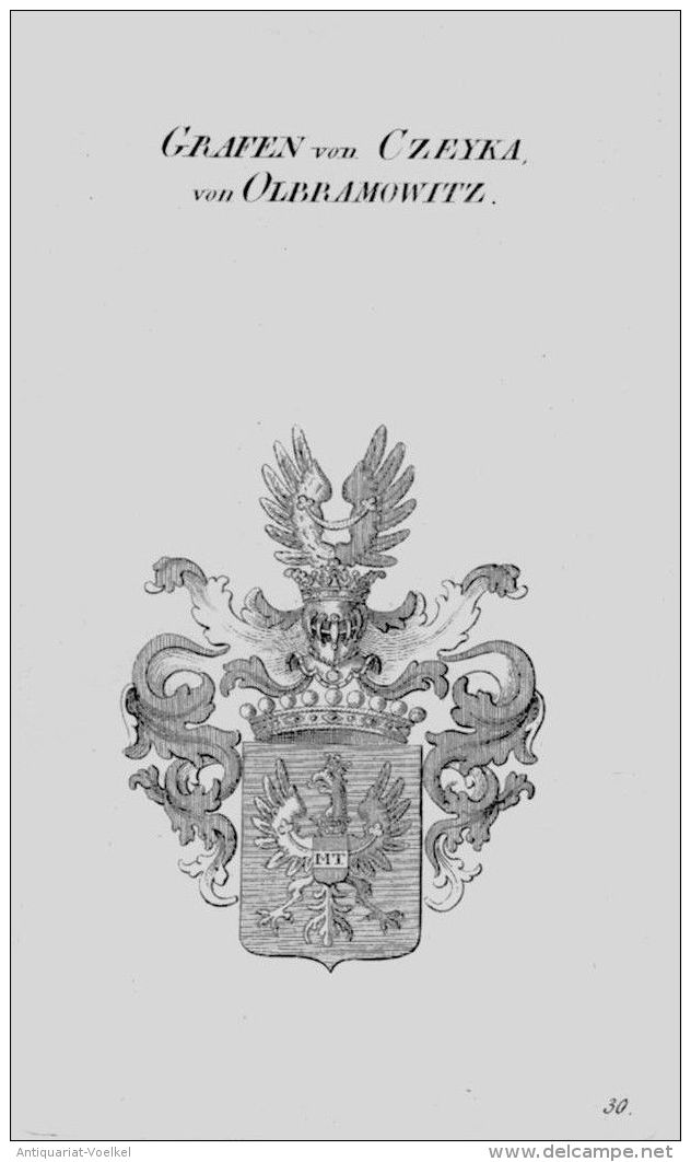 Czeyka Wappen Adel Coat Of Arms Heraldry Heraldik Crest Kupferstich - Estampes & Gravures