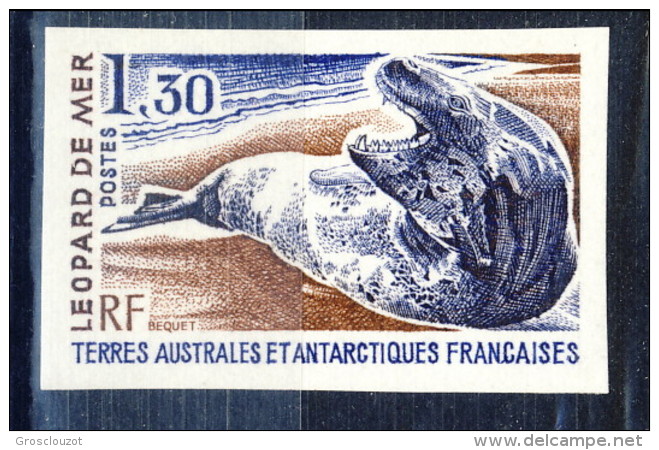 TAAF 1980 N. 89 F. 1,30 MNH NON DENTELLATO Catalogo € 12 - Imperforates, Proofs & Errors