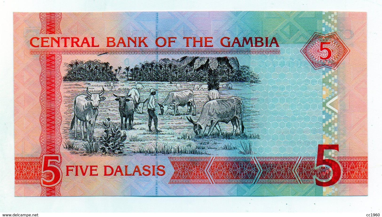 Gambia - Banconota Da 5 Dalasis - Nuova -  (FDC1524) - Gambia