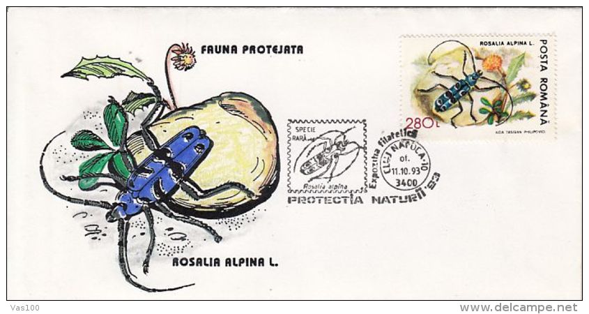 INSECTS, ROSALIA LONGGICORN BEETLE, SPECIAL COVER, 1993, ROMANIA - Other & Unclassified