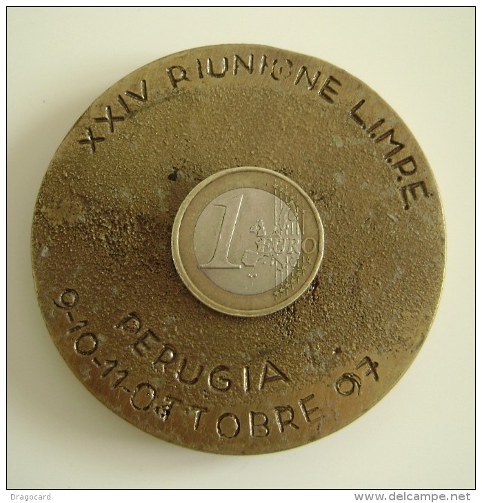 1997 PERUGIA  XXIV RIUNIONE LIMPE  CLINICHE NELLE MALATTIE EXTRAPIRAMIDALI E  MEDICINA RICERCA   MEDAGLIA BIG MEDAL - Professionnels/De Société