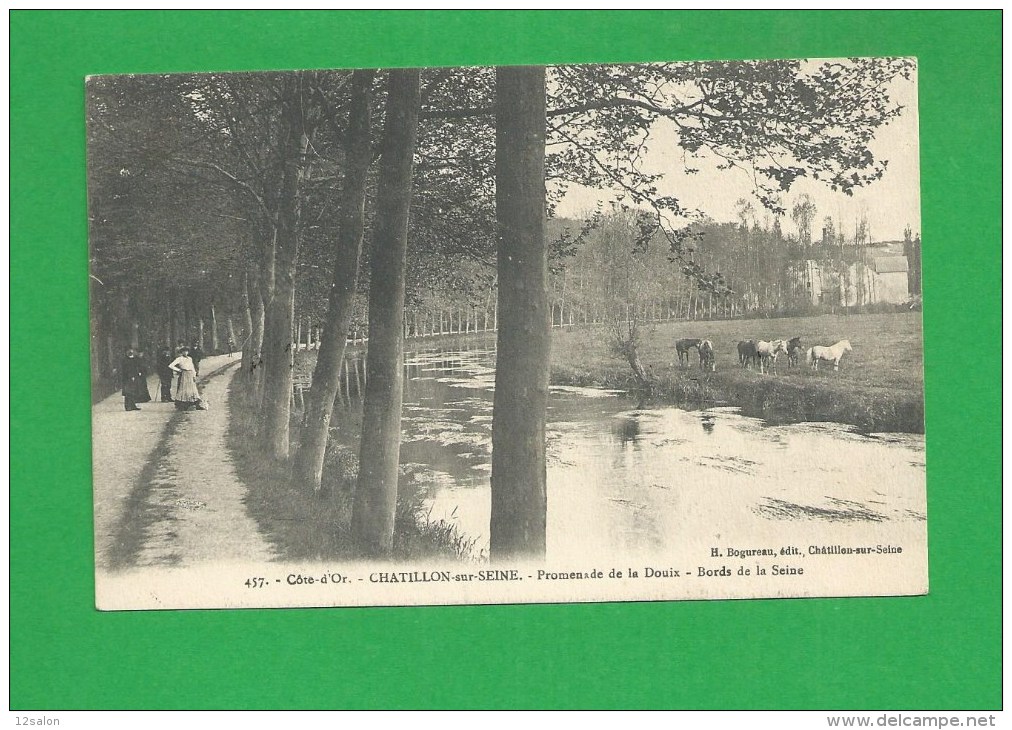 CP 0144 CHATILLON SUR SEINE Promenade De La Douix Bords De Seine Troupeau De Chevaux - Chatillon Sur Seine