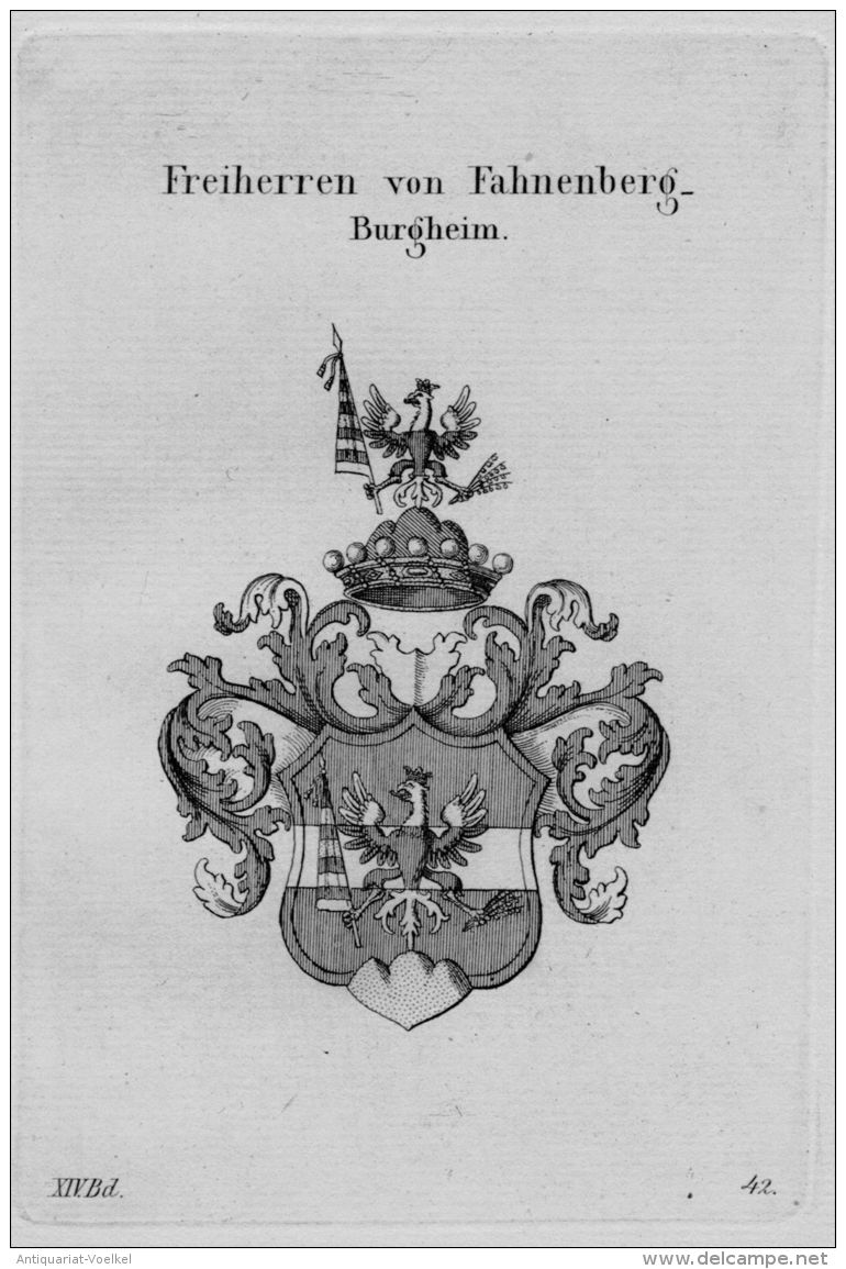 Fahnenberg Burgheim Wappen Adel Coat Of Arms Heraldry Heraldik Kupferstich - Stiche & Gravuren