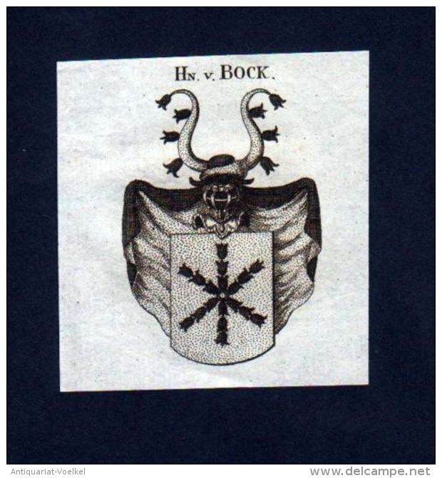 Herren V. Bock Kupferstich Wappen - Stiche & Gravuren