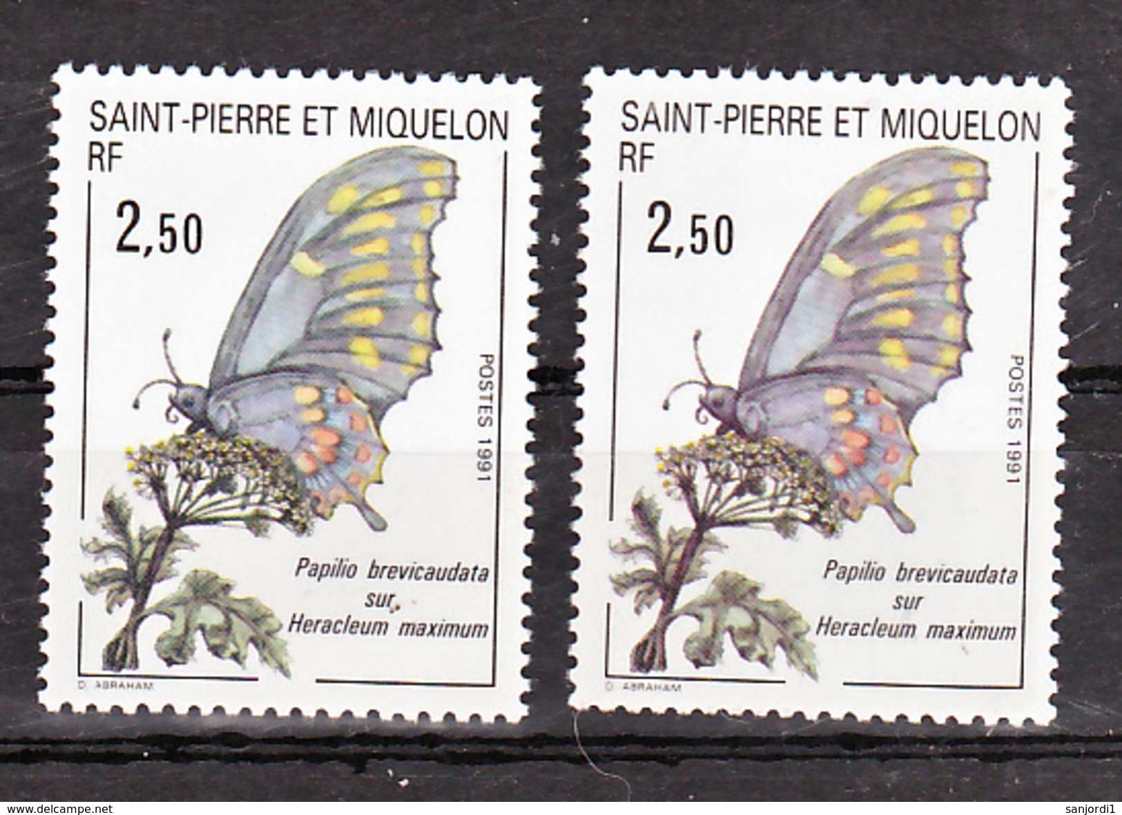 Saint Pierre Et Miquelon 534 Papillon Variété Bleu Gris Et Violacé Neuf ** MNH Sin Charmela - Non Dentelés, épreuves & Variétés