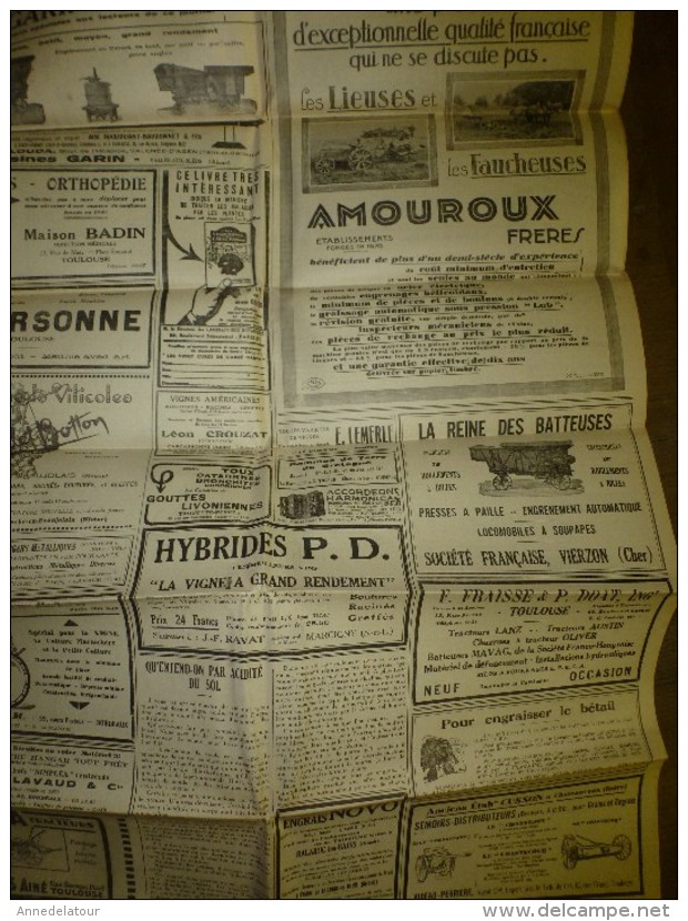 10 Janv 1931 Rare Journal Avec Partie De Texte En Occitan (langue D'Oc---> Le Blé, Le Vin (Lé Cadéttou Dé-bordo-nobo... - Autres & Non Classés