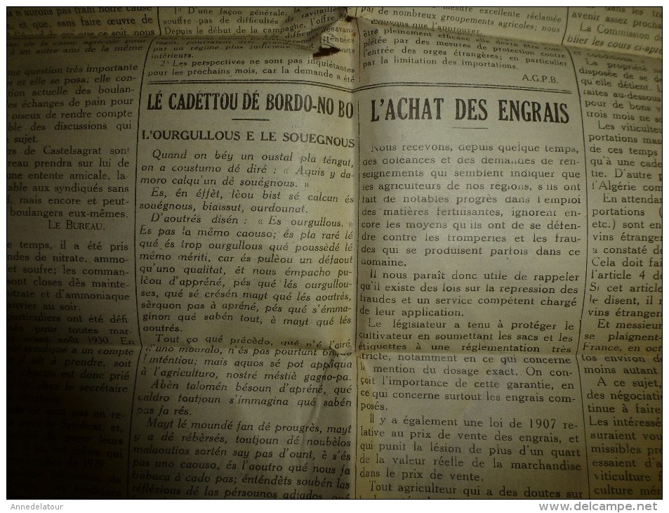 17 Janv 1931 Rare Journal Avec Partie De Texte En Occitan (langue D'Oc---> Le Blé, Le Vin (Lé Cadéttou Dé-bordo-nobo... - Autres & Non Classés