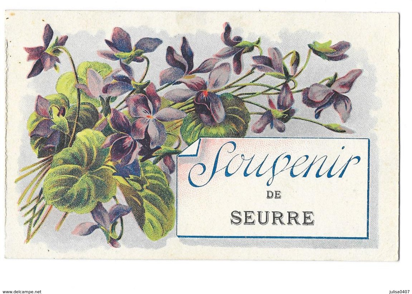 SEURRE (21) Carte Fantaisie Souvenir - Autres & Non Classés