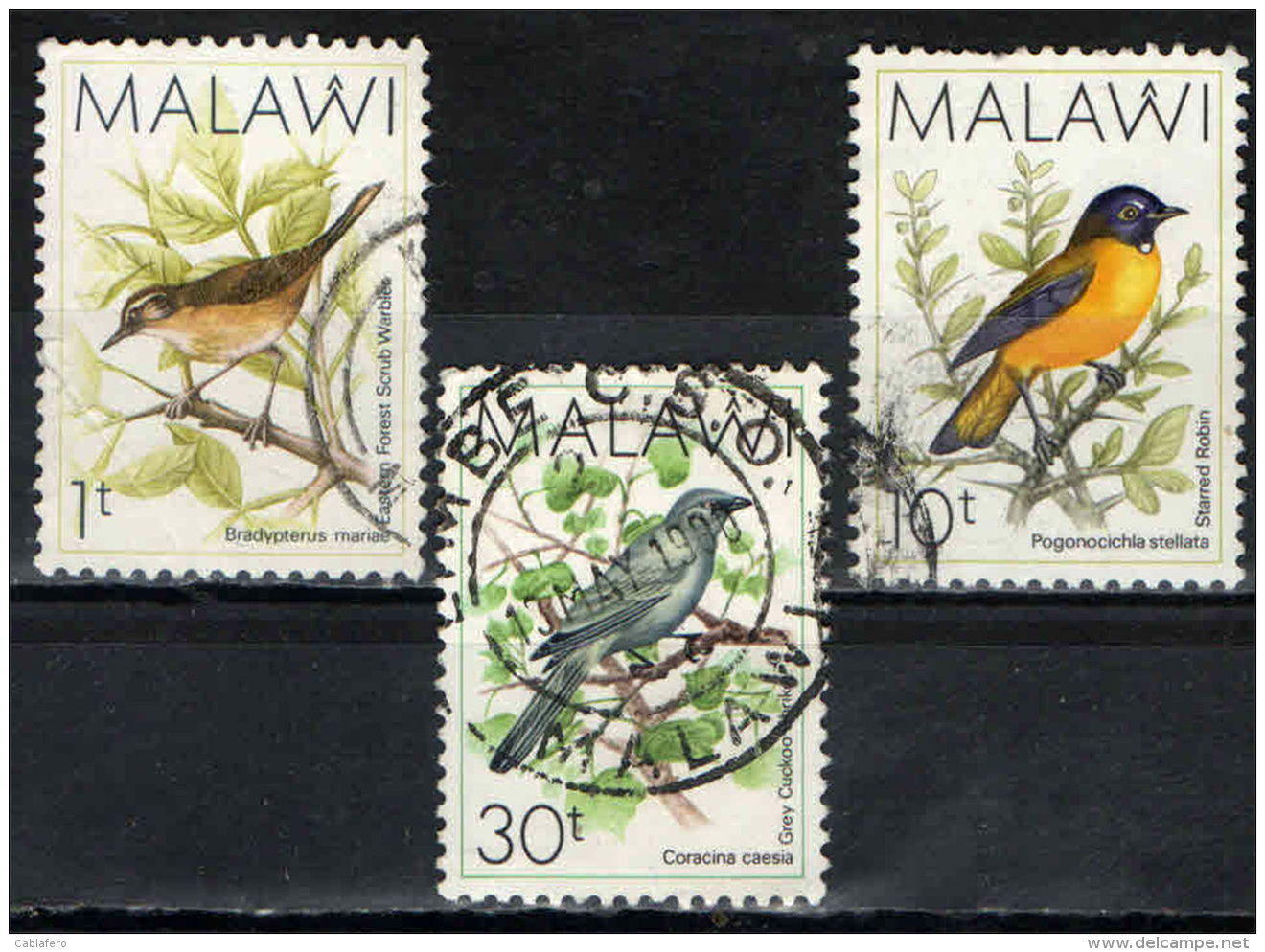 MALAWI - 1988 - UCCELLI - BIRDS - USATI - Malawi (1964-...)