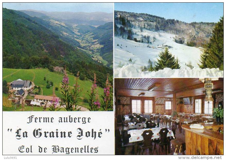 CPSM - Environs De LIEPVRE (68) - Carte Multi-vues De La Ferme-Auberge La Graine Johé Du Col De Bagenelles - Lièpvre