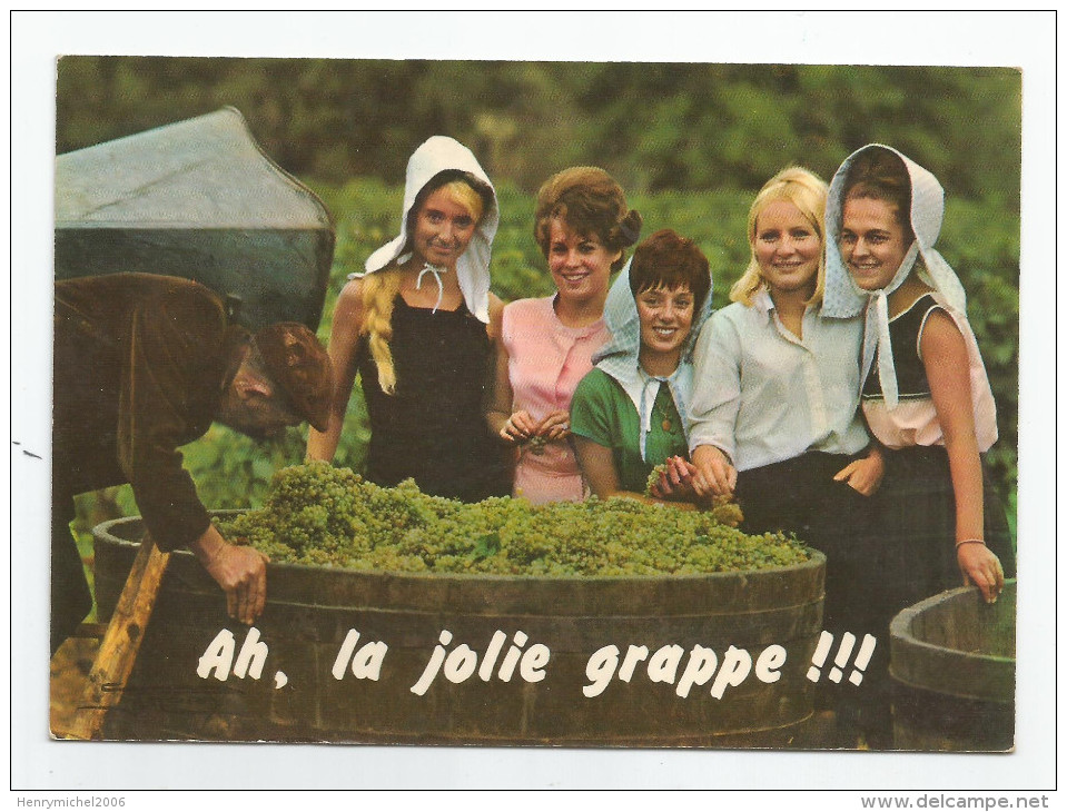 71 Saone Et Loire - Macon - Maconnaise Jolies Femmes Ah La Jolie Grappe Vendange Hotte - Macon