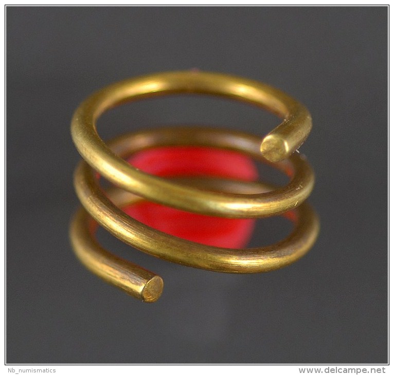 Luristan Gold Coil Hair Ring - Archeologie