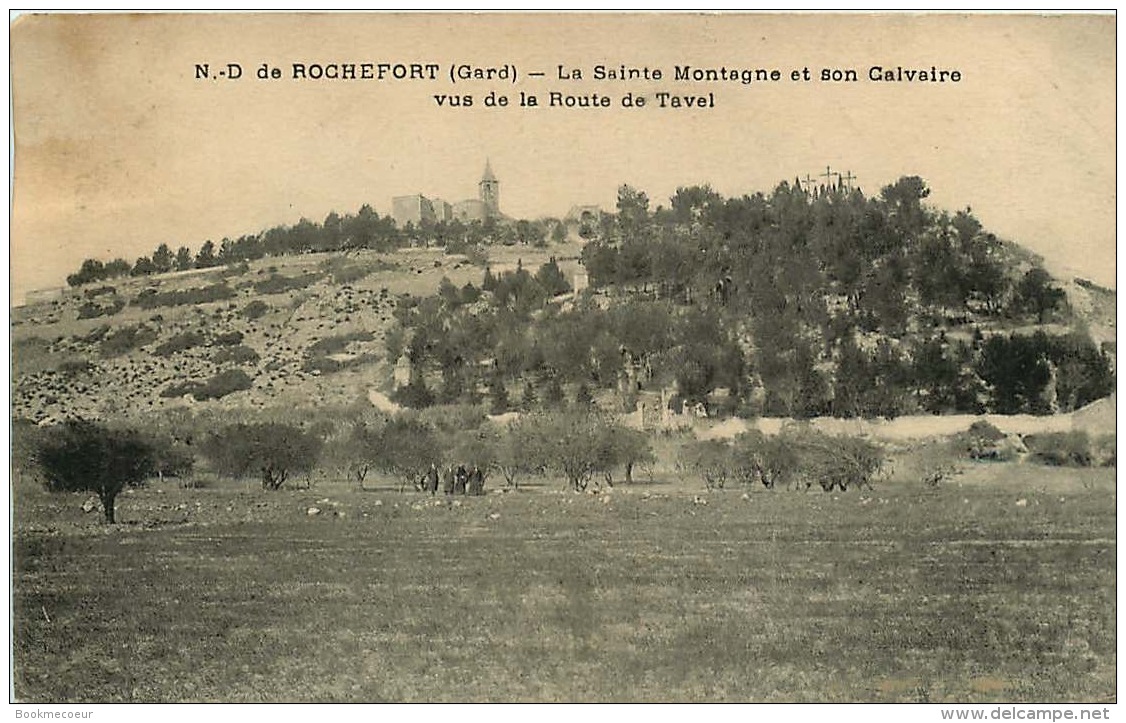 30  NOTRE-DAME DE ROCHEFORT LA SAINTE  MONTAGNE  ET SON CALVAIRE VUE DE LA ROUTE DE TAVEL - Rochefort-du-Gard
