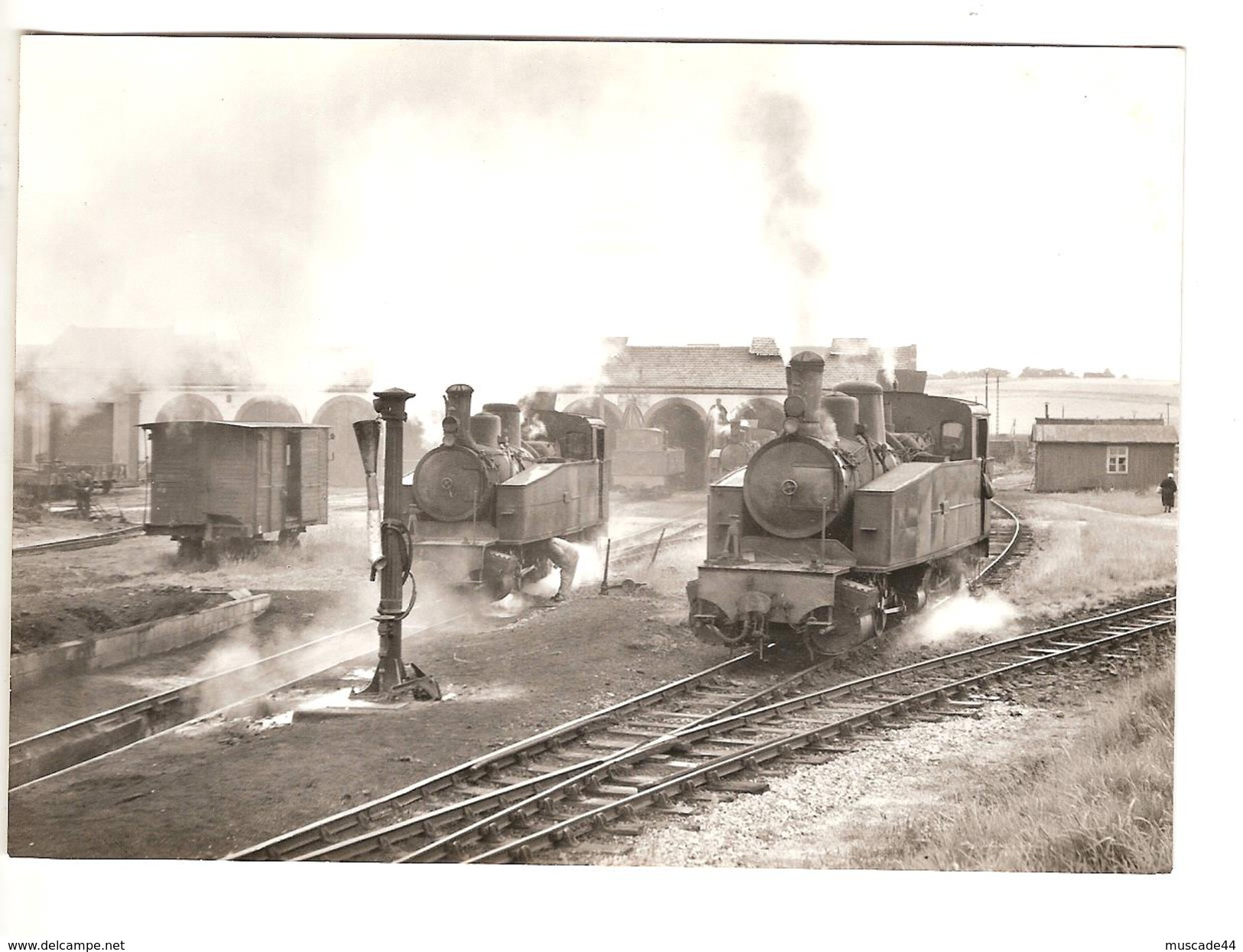 DEPOT DE CARHAIX  17.6.1963 PHOTO JL ROCHAIX 557.1 RB - Treni