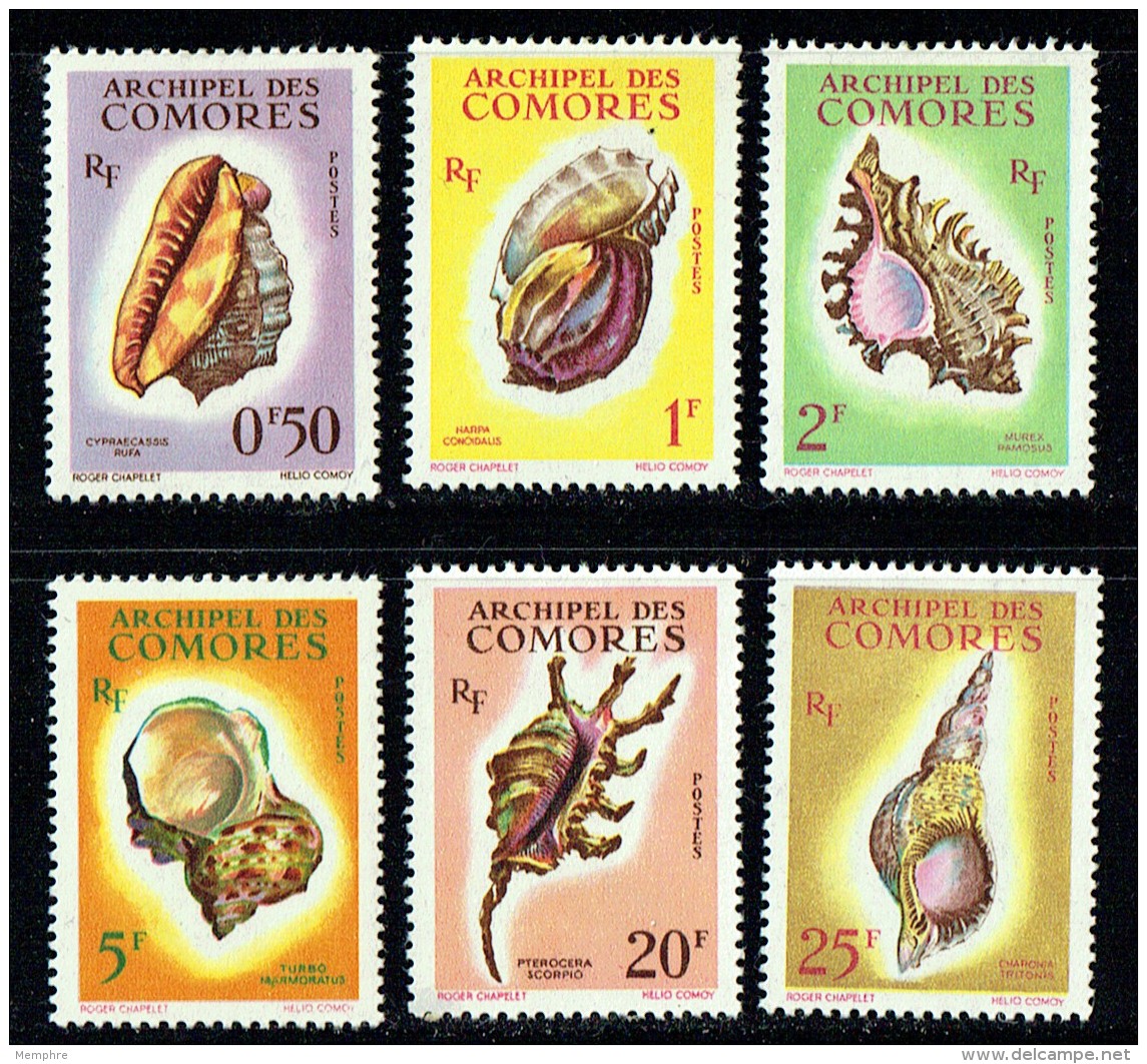 1962  Coquillages  Série Complète Yv 19-24 * - Unused Stamps