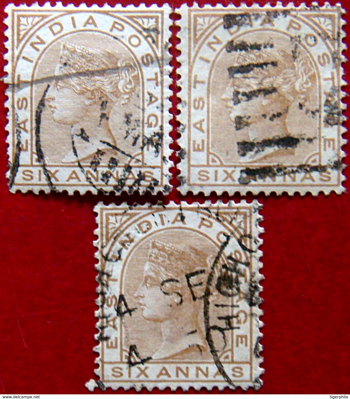 BRITISH INDIA 1876 6as Queen Victoria 3 Stamps USED Scott78 CV300Rs WATERMARK : ELEPHANT'S HEAD - 1858-79 Compañia Británica Y Gobierno De La Reina