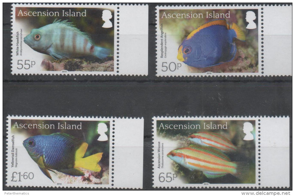 ASCENSION , 2016, MNH, FISH,4v - Fishes