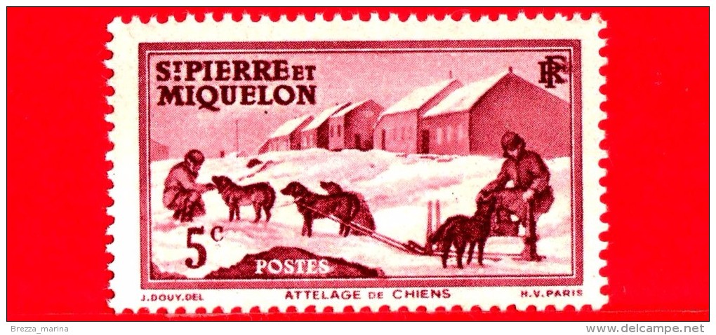 Nuovo - Saint-Pierre E Miquelon - 1938 - Cani Slitta - Team Of Dogs - 5 - Unused Stamps