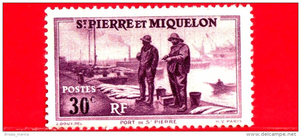 Nuovo - Saint-Pierre E Miquelon - 1938 - Cani Slitta - Team Of Dogs - 30 - Unused Stamps