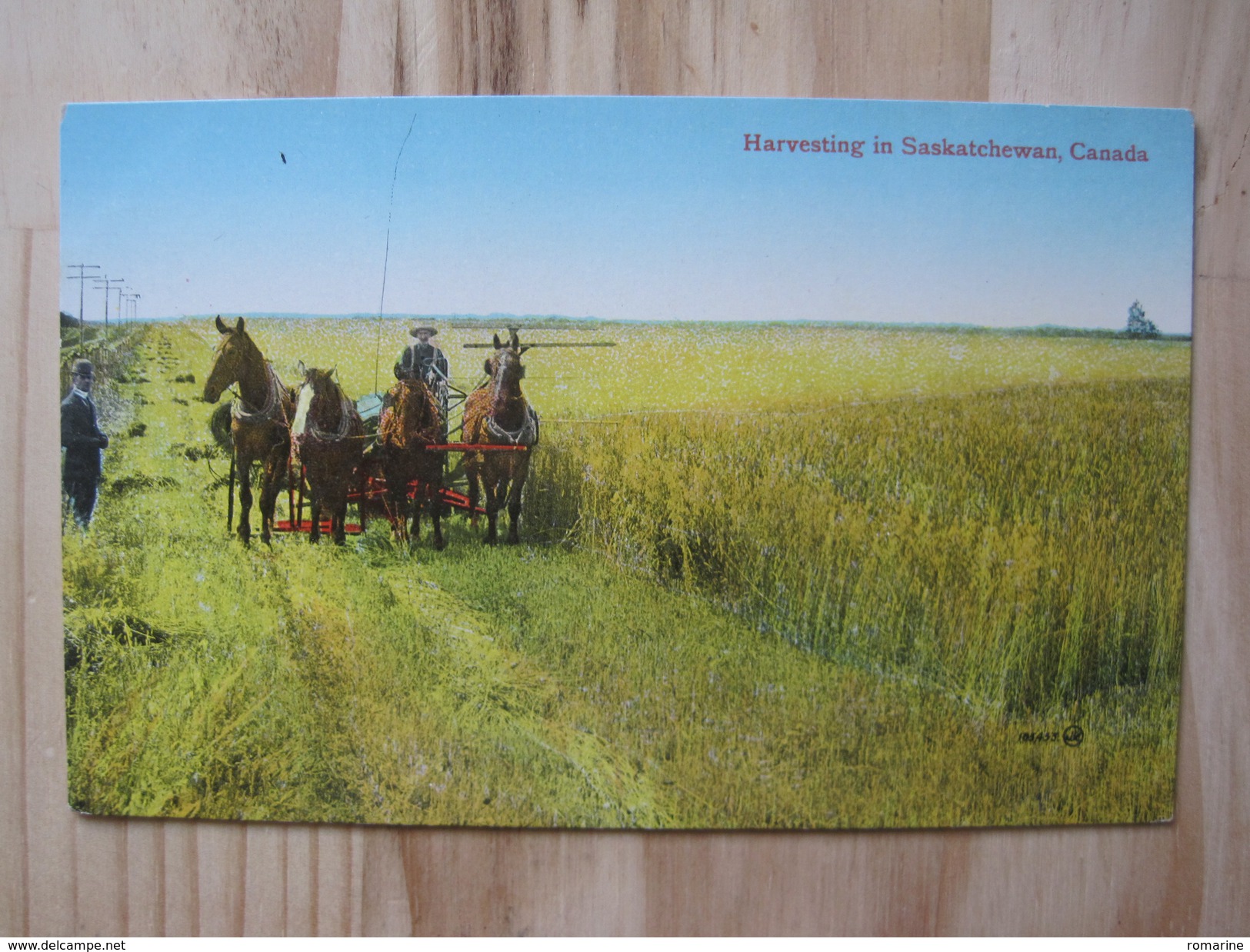 Harvesting In Saskatchewan, Canada - Autres & Non Classés