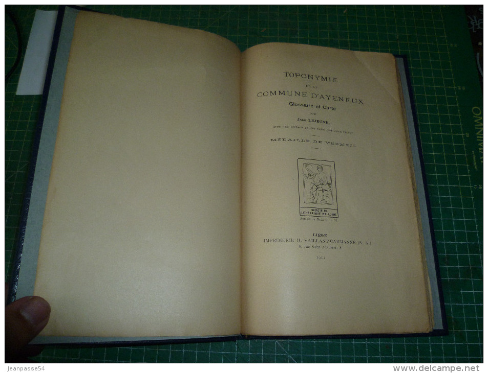 Toponymie De La Commune De D'Ayeneux. Glossaire Et Carte. Liège 1911 - Belgium