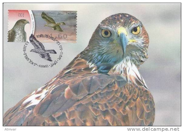 ISRAEL (2009) - Carte Maximum Card - ATM AMIEL - Hieraaetus Fasciatus / Bonelli's Eagle / Aquila Fasciata / Aigle - Maximumkarten