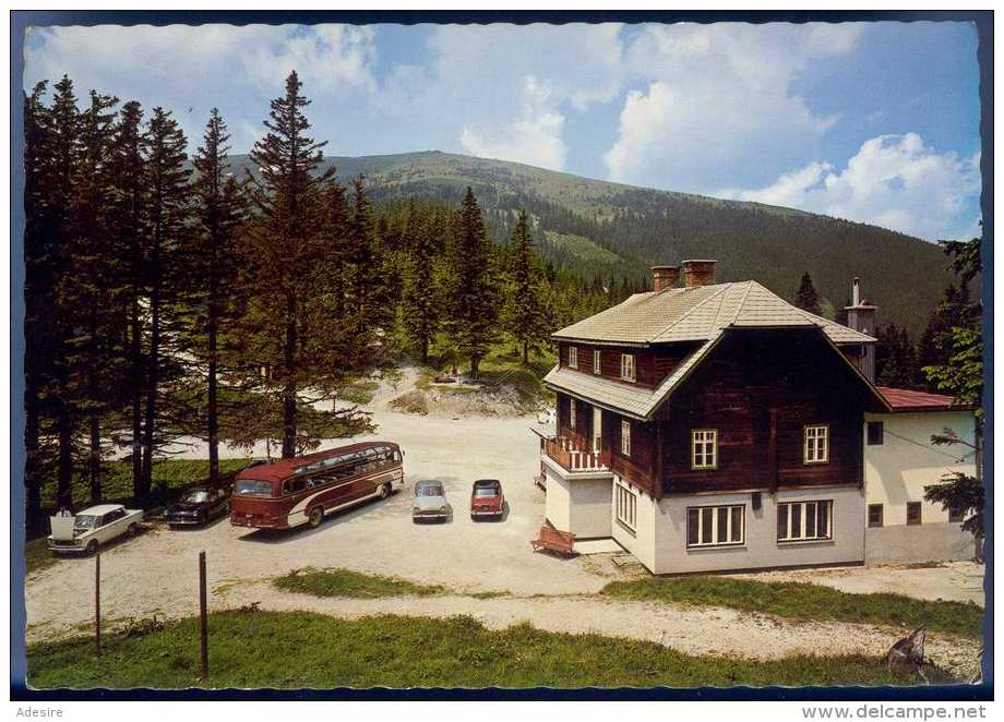 PFAFFENSATTEL, M.Grundbichlers Gasthaus, Steinhaus Am Semmering, Alte Autos, Alter Autobus, Karte Nicht Gelaufen Um 1955 - Steinhaus Am Semmering