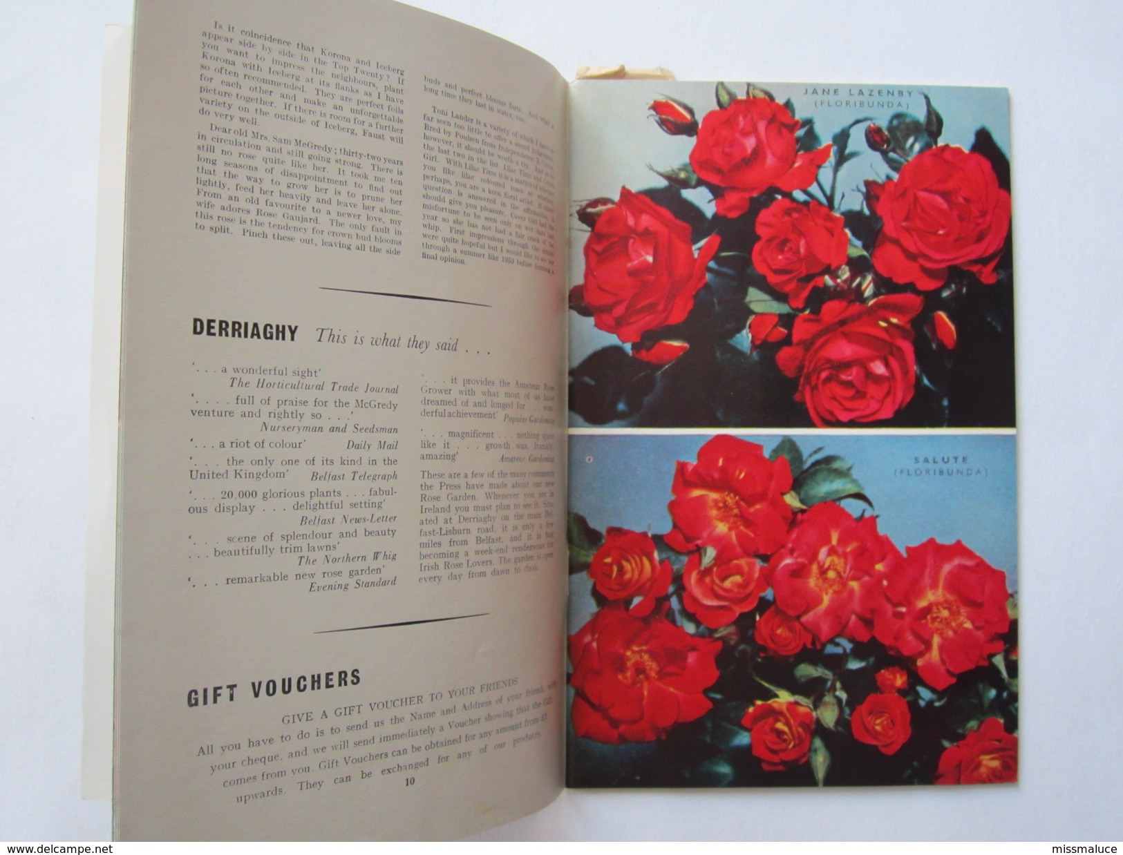 Publicité Catalogue Fleurs Plantes The Rose Northwich Cheshire - Advertising