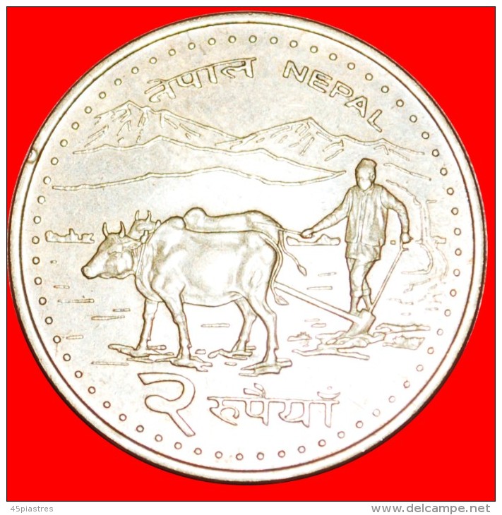 § EVEREST, BULLS: NEPAL &#9733; 2 RUPEES 2063 (2006)! LOW START&#9733; NO RESERVE! Birendra (1971-2001) - Népal